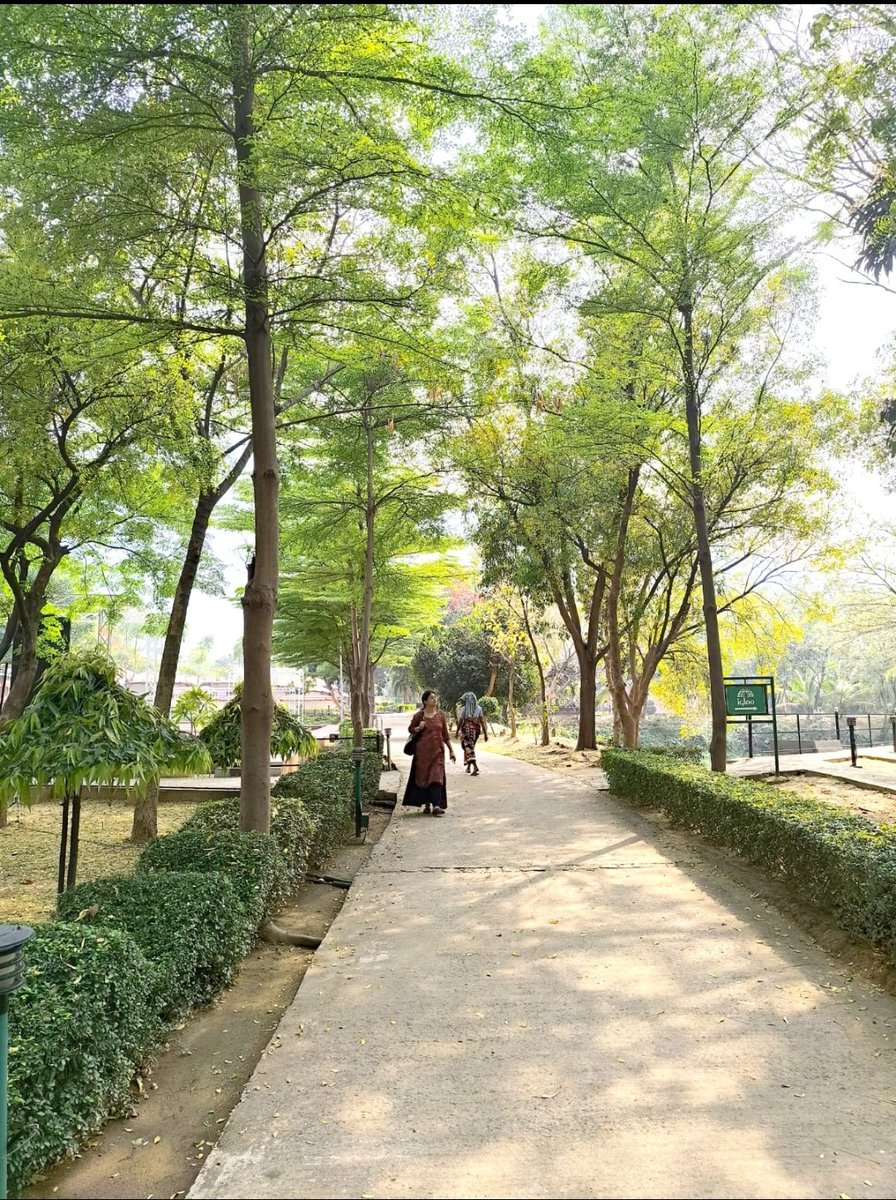 "তোমার জন্য এই মাঠে আমি সবুজ রেখেছিলাম
তোমার জন্যই গাছের নিচে ছায়া রেখেছিলাম। তোমার জন্যই পাহাড়ের কাছে হাত পেতে বলেছিলাম,'ও পাহাড়,তুমি নদীর স্বরলিপি লেখো।'
শুনেছিলাম তুমি বহুদূর ভুমধ্যসাগর হেঁটে ফিরছো,
তোমার জন্যই এই ঘাসে আঁচল পেতেছিলাম।"

শুভ গোধূলি...