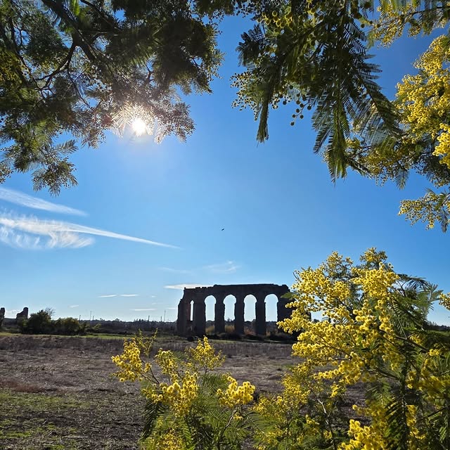 Turismo Roma tweet media