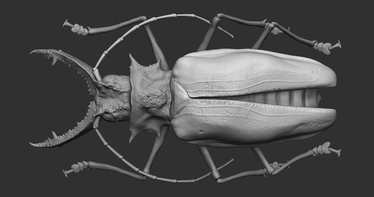 kangaroo8484's tweet photo. 昆虫模写　羽はどうやって作ればいいの？
#ZBrush #3DCG https://t.co/OKK536aZqX