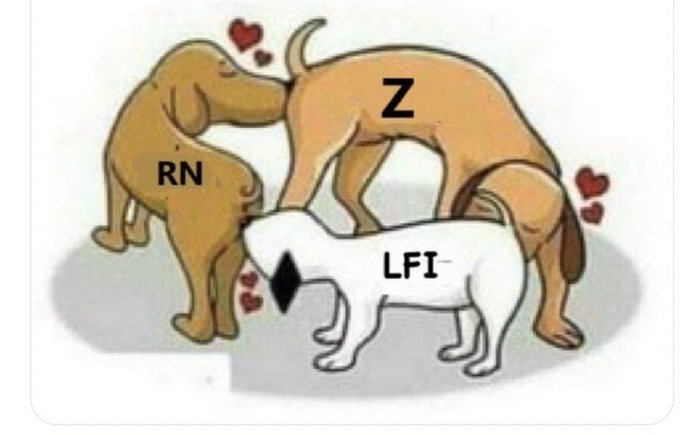 Quand vous votez pour l'un ou l'autre , en réalité vous votez pour cette ORGIE . Bande de petits malins ! 🤨