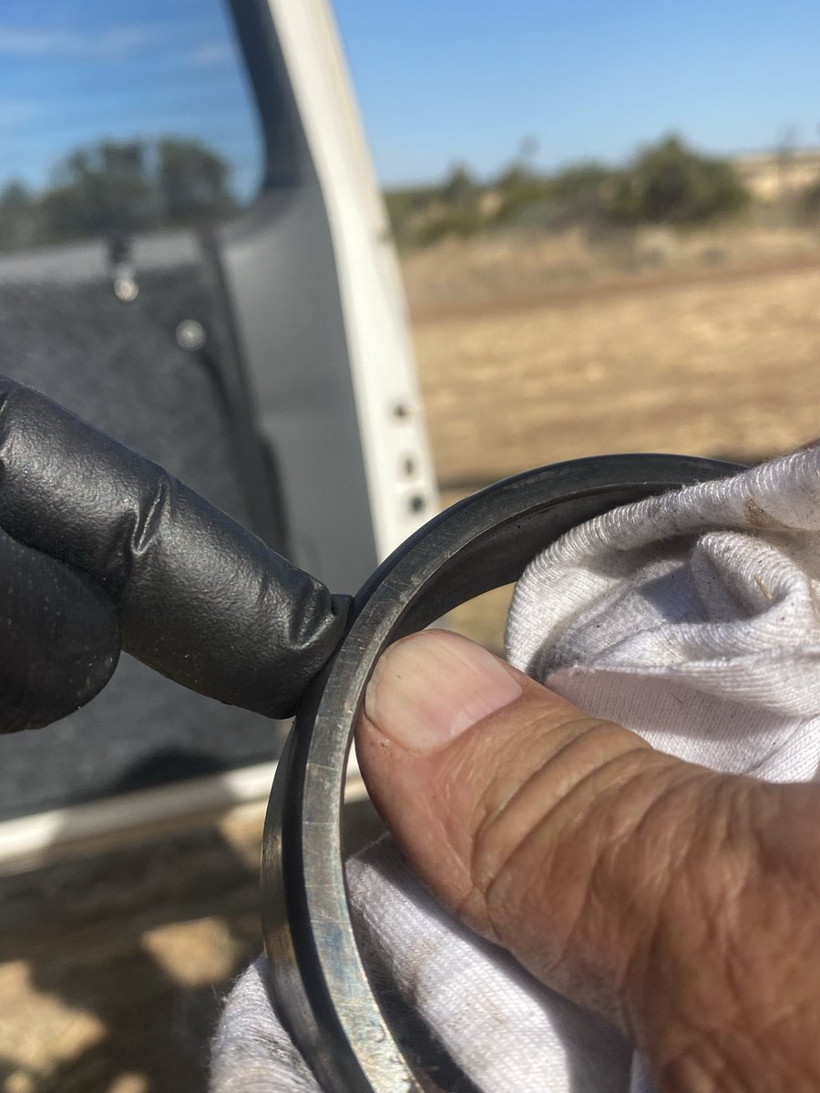 Lindsay Chappel tweet media