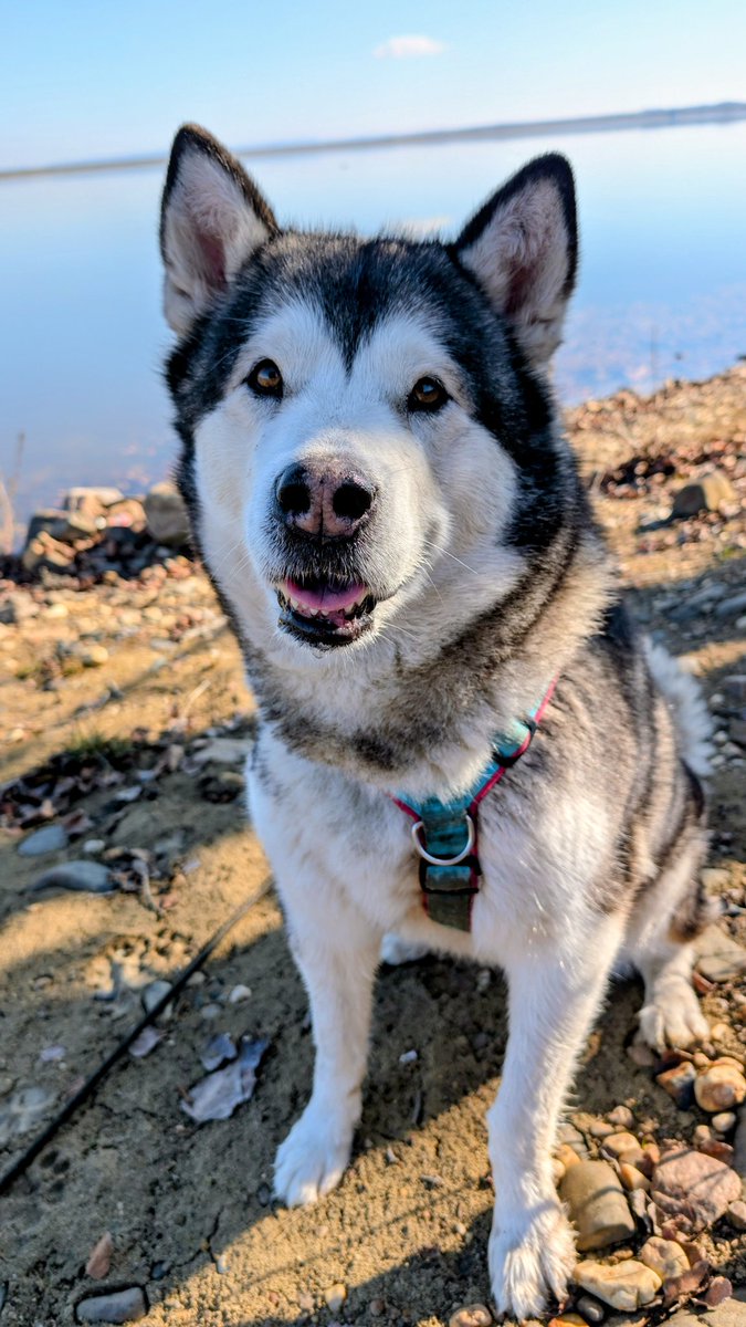 Středočeská Sešívka🇨🇿🇺🇦🇮🇱 tweet media
