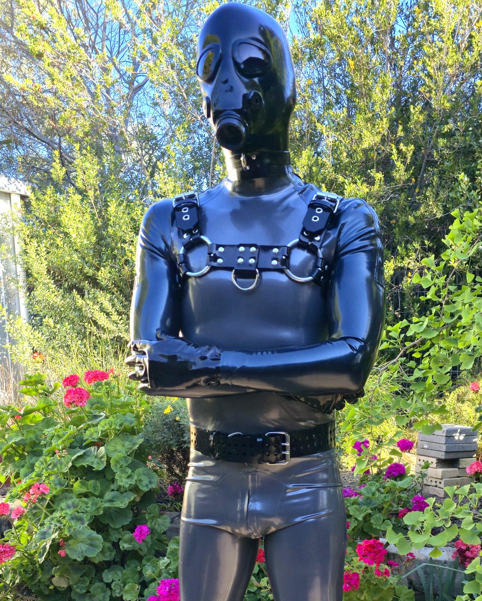 Rubber_ADL tweet media