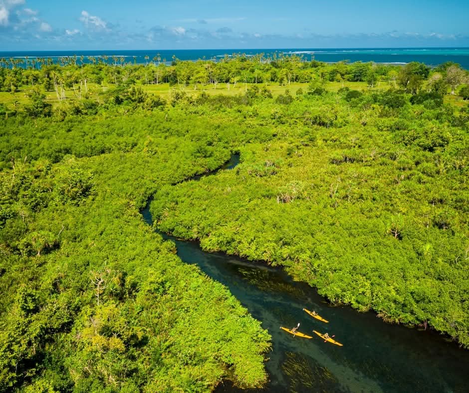 RepPlusUK's tweet image. Breathtakingly beautiful from a bird’s-eye view, we’re officially jealous of Samoan birds who get this POV every day!

#DiscoverBeautiful #BeautifulSamoa #Samoa #Travel #PacificIsland #BucketListDestination #RepPlusClient