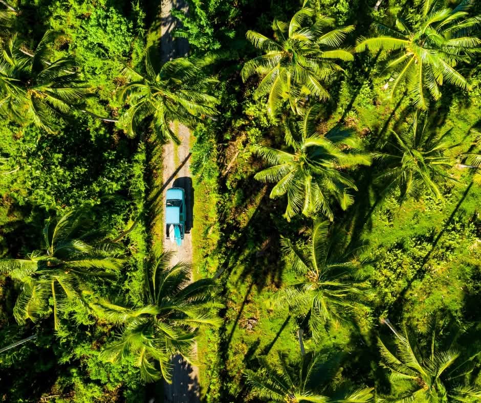 RepPlusUK's tweet image. Breathtakingly beautiful from a bird’s-eye view, we’re officially jealous of Samoan birds who get this POV every day!

#DiscoverBeautiful #BeautifulSamoa #Samoa #Travel #PacificIsland #BucketListDestination #RepPlusClient