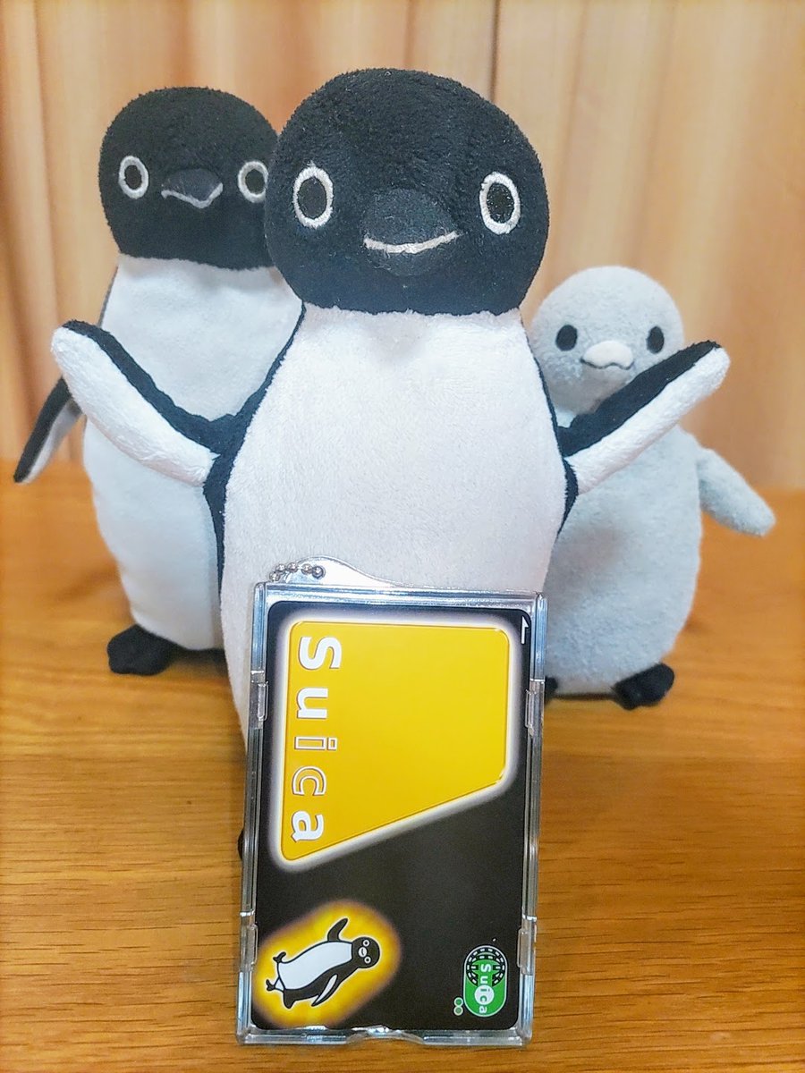 ブラックSuicaを普通に 毎日使ってる方いらっしゃるのかな