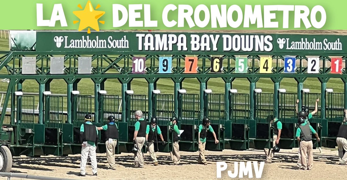 PabloJota27's tweet image. ((( #09CARRERAS )) Para Hoy Arrancar Con Nuestro Trabajo De Pronóstico En Las AMERICANAS Con Buen Análisis Y Buscando Siempre Los ALTOS DIVIDENDOS Porque Los Favoritos Los Tiene Usted, Hoy Es #MIÉRCOLESDECONSEGUIR 🆗👊💪 #SUSCRIPCIONVIP 📲+584226485373 Vía WhatsApp-Telegram