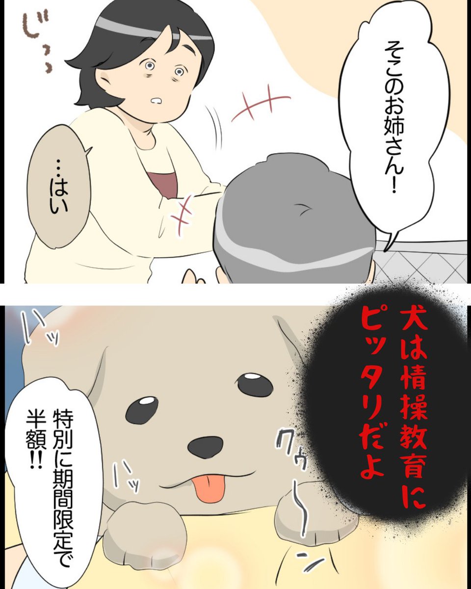 emiko_bokumetu's tweet photo. リッカちゃん人形を買いに行ったのに
衝動買いしてしまったのは… https://t.co/fIvPTdhQ5C