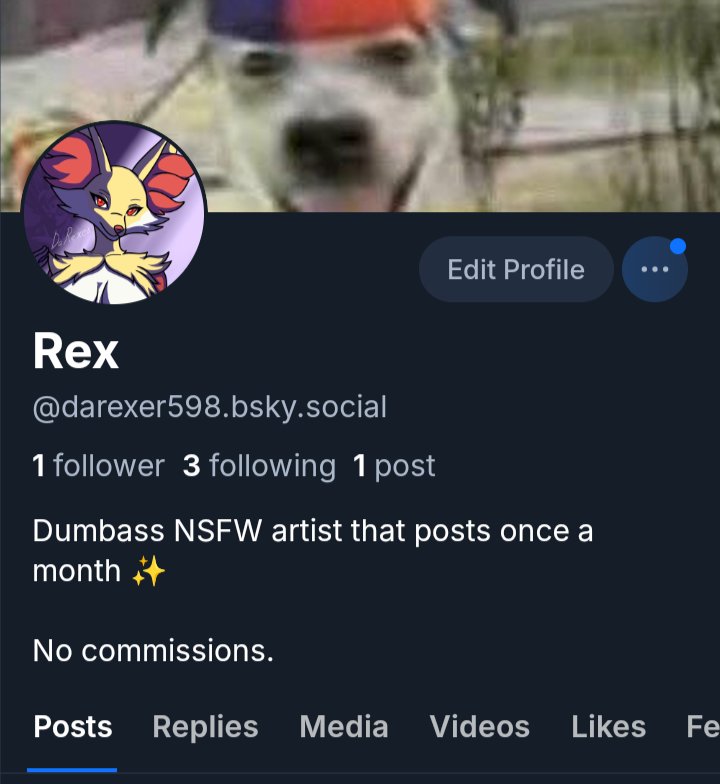 Rex 🔞 tweet media