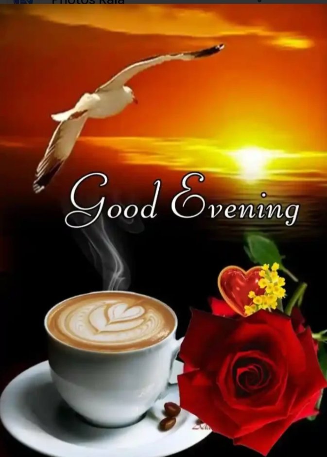 Very lovely 🌹❤️😘 good evening everyone 💘