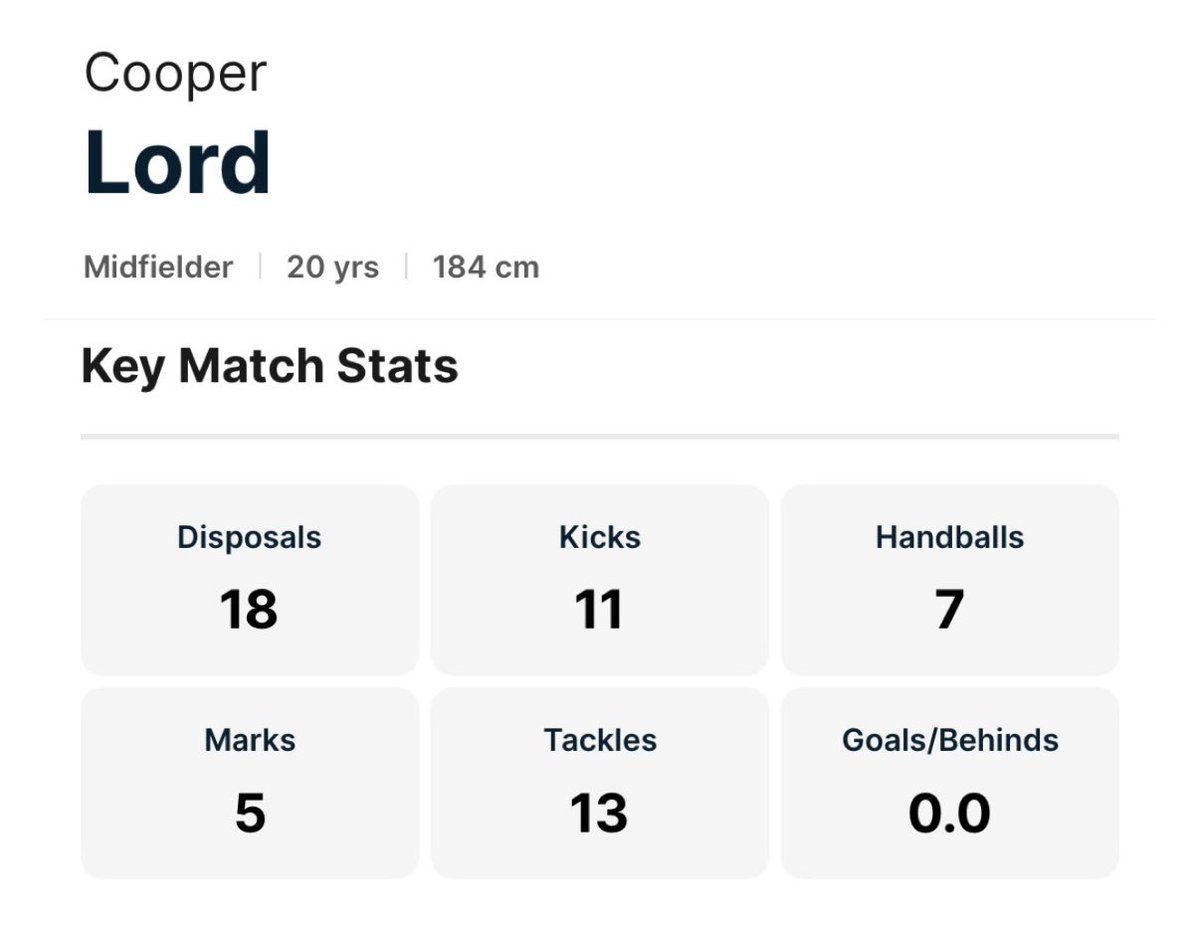 bear 🧸 tweet media