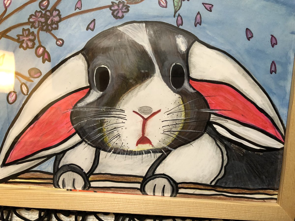 我が家の仔ウサギ。「ろっぷ君」の写真を母のスマホに送ったら、それを