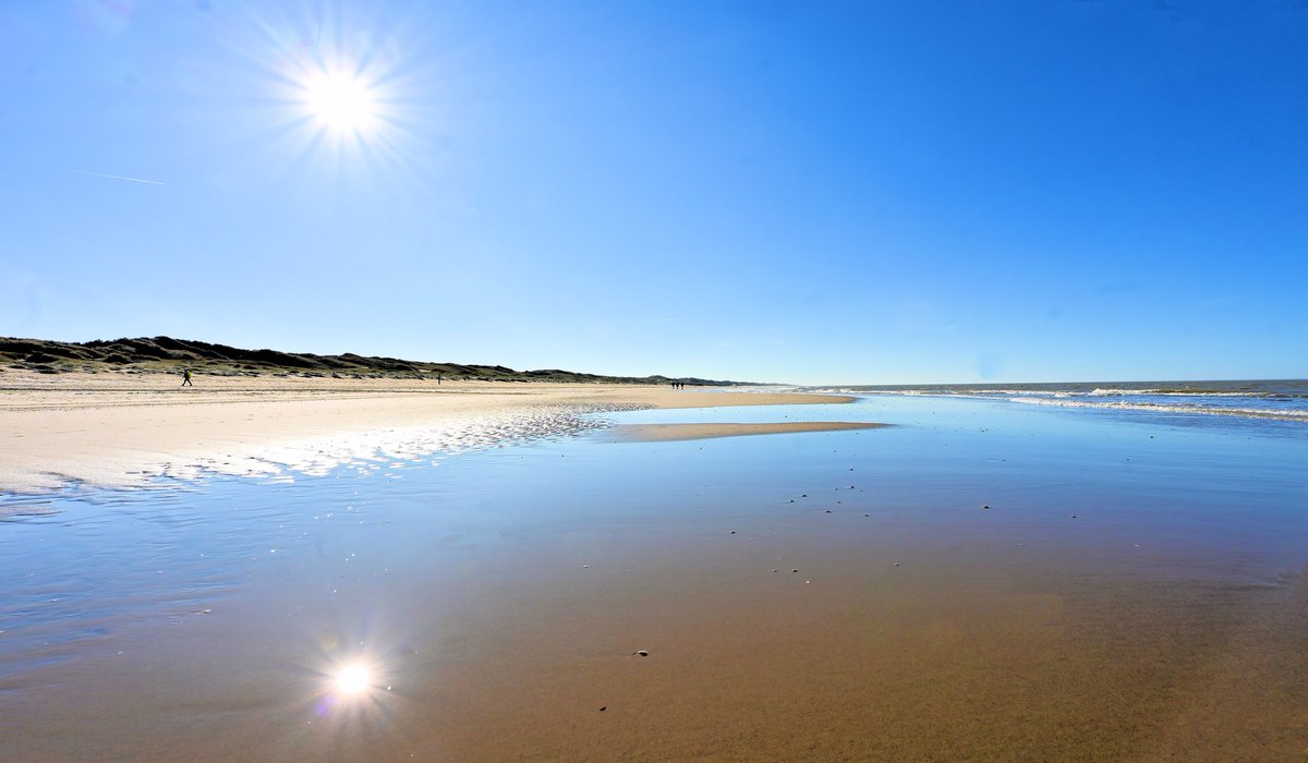 Ed v. Pelt tweet media