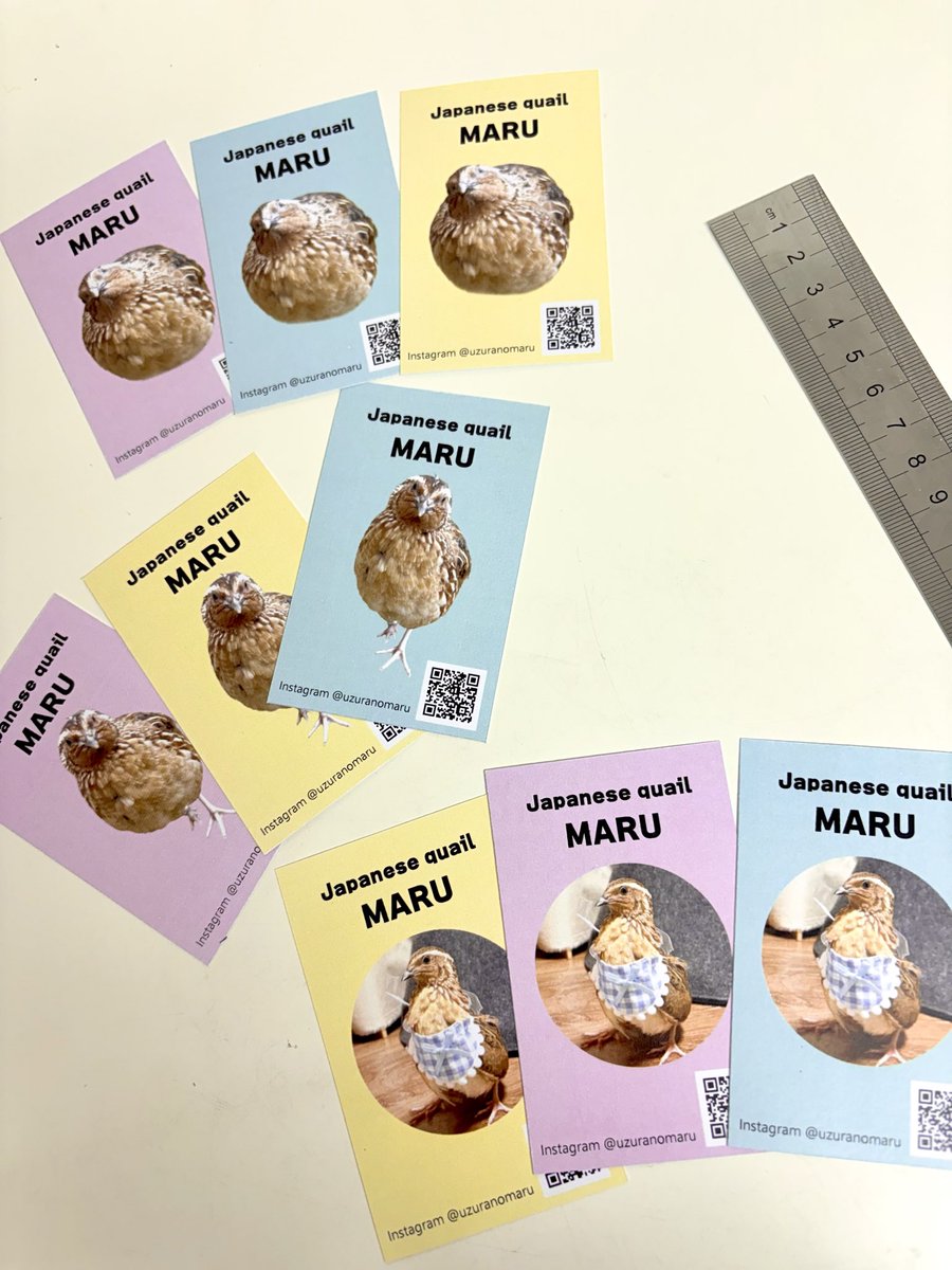 マルちゃんの名刺作ってみた🐥✨
かわいい〜🥹🥹🥹