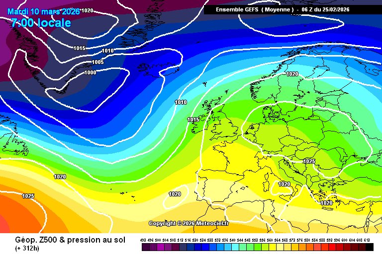 Chailey peter jr ❄️ tweet media