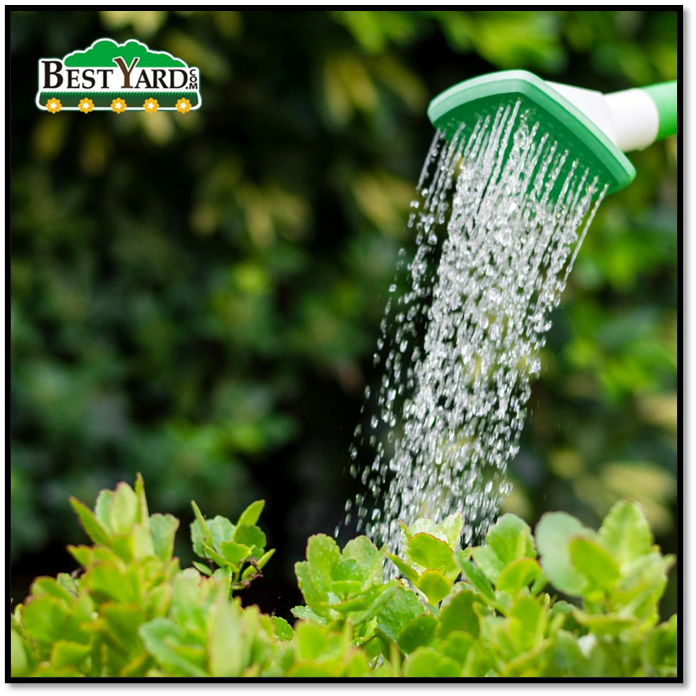 BestYard tweet media