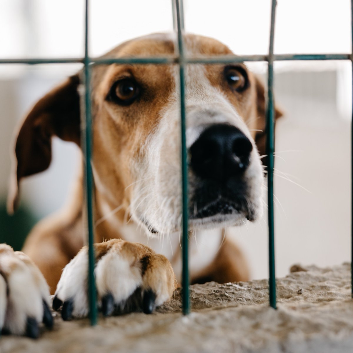 Cabildo de Tenerife tweet media