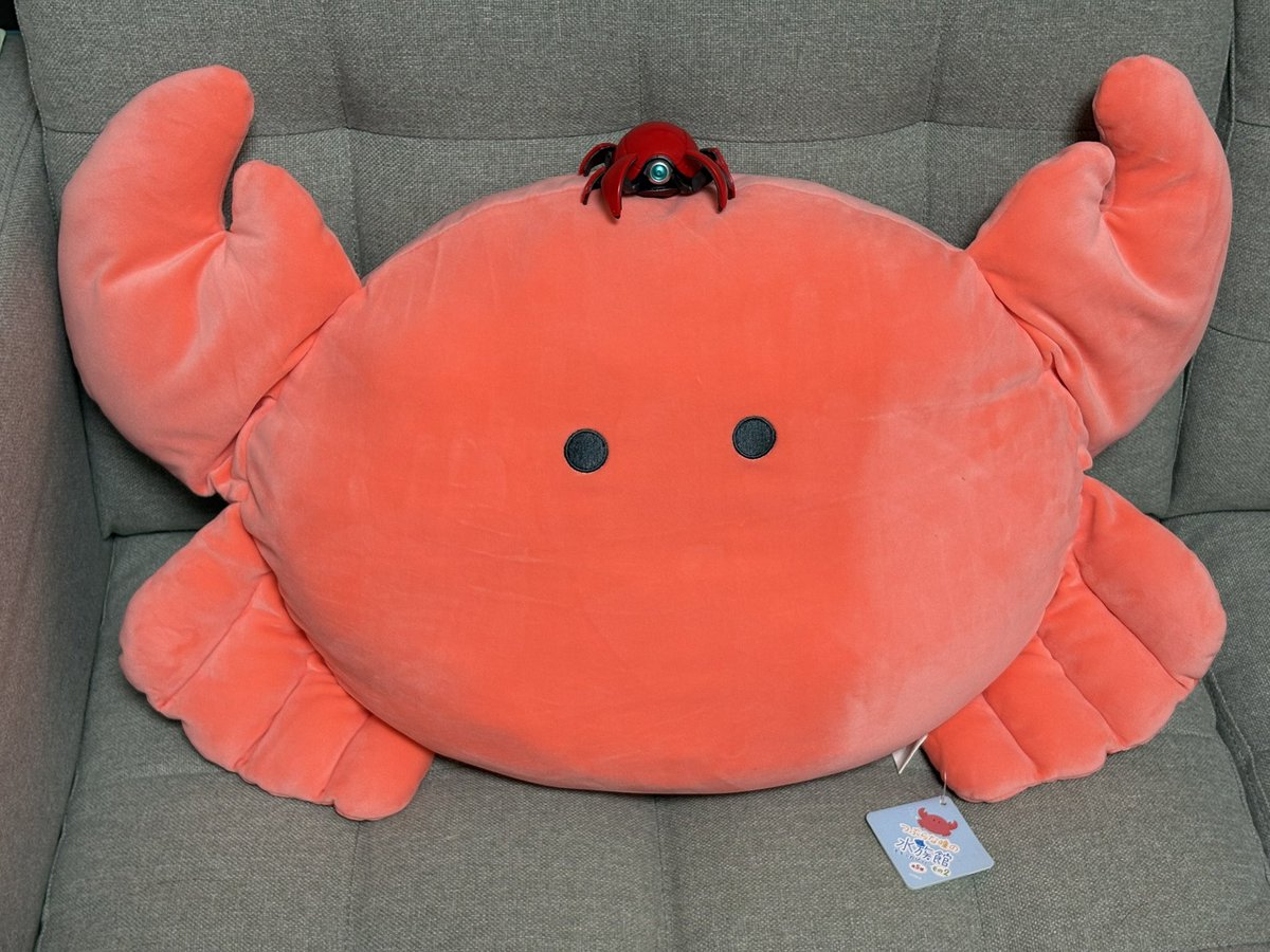 見てみて‼️デッカいカニクッション🦀‼️
多分うちにある1番デッカいカニグッズです🦀✨

 #蟹グッズクラブ