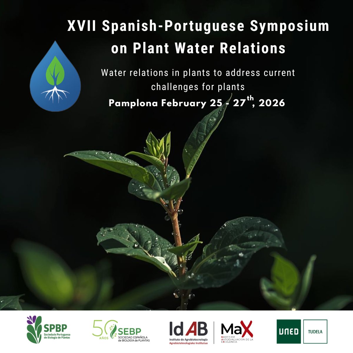 Instituto de Agrobiotecnología - CSIC tweet media