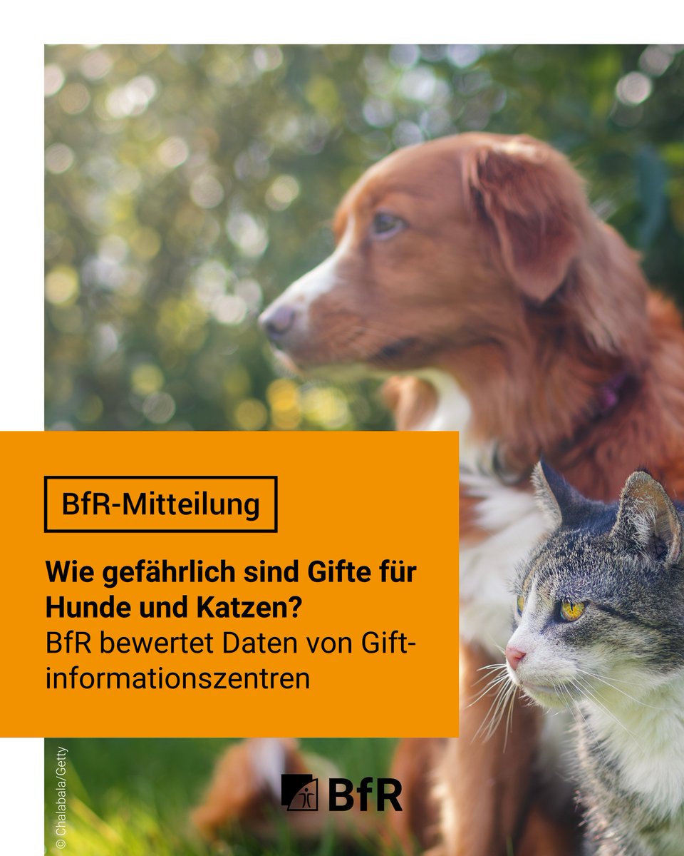 BfR | Bundesinstitut für Risikobewertung tweet media