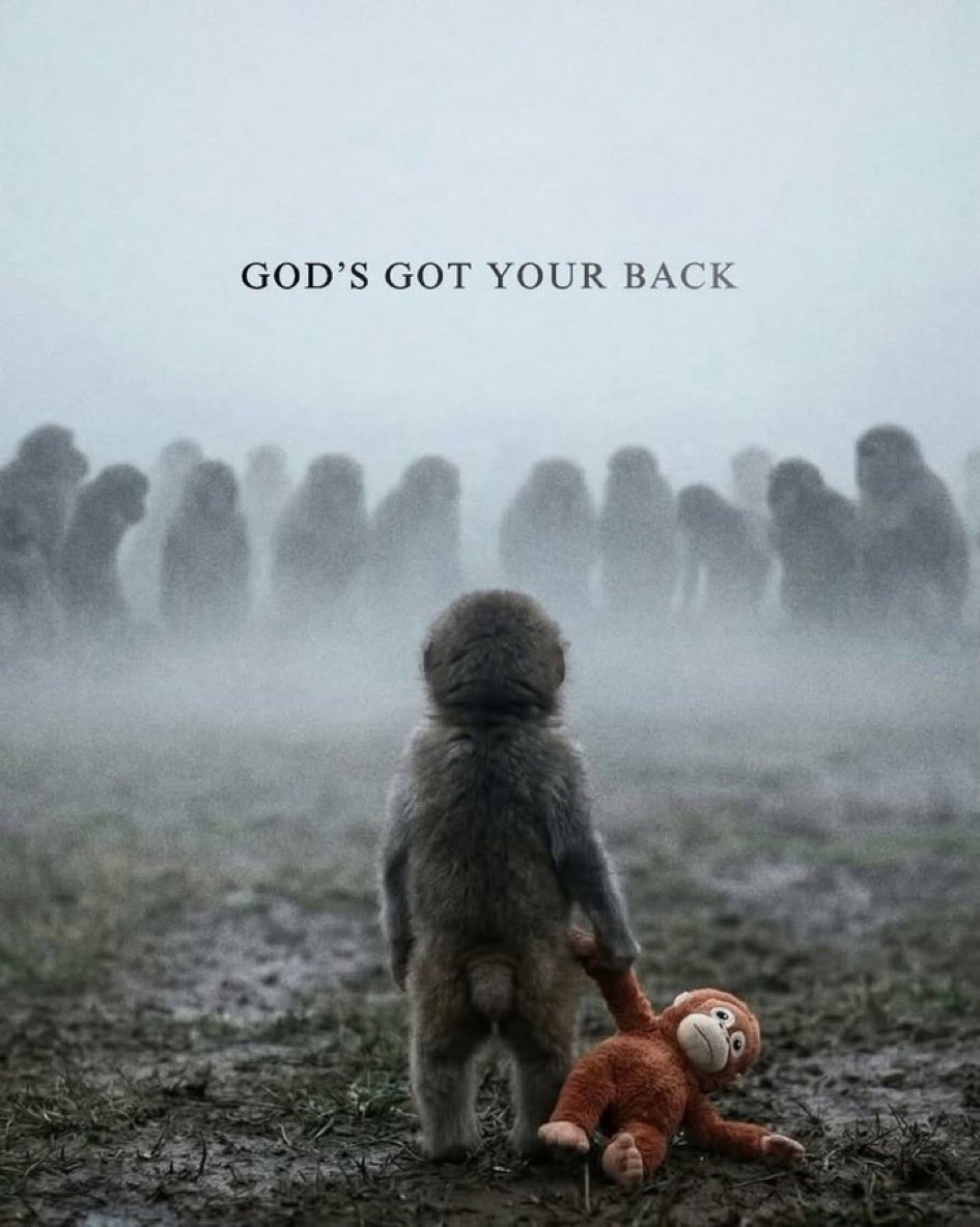 We are truly among some of the dumbest people here. I need to address this. 

Seeing so many people coping that aren’t in $punch saying “that viral trend will go to zero, bid the cult communities instead, they have staying power”

Goyim - do you truly believe that your niche CT