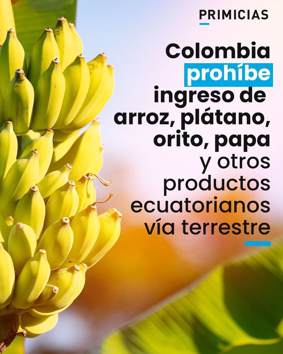 Alberto Acosta-Burneo tweet media