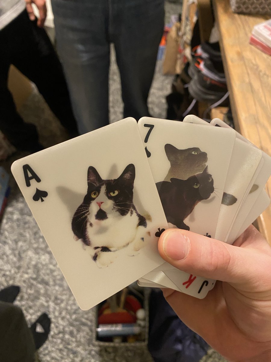 WIESO HED MER NIEMERT GSEID DASS MER 3D KATZE JASSKARTE HEND IDE WG OMFG