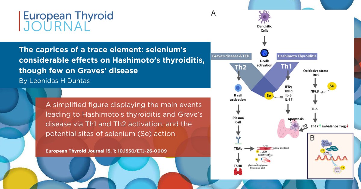 European Thyroid Journal tweet media