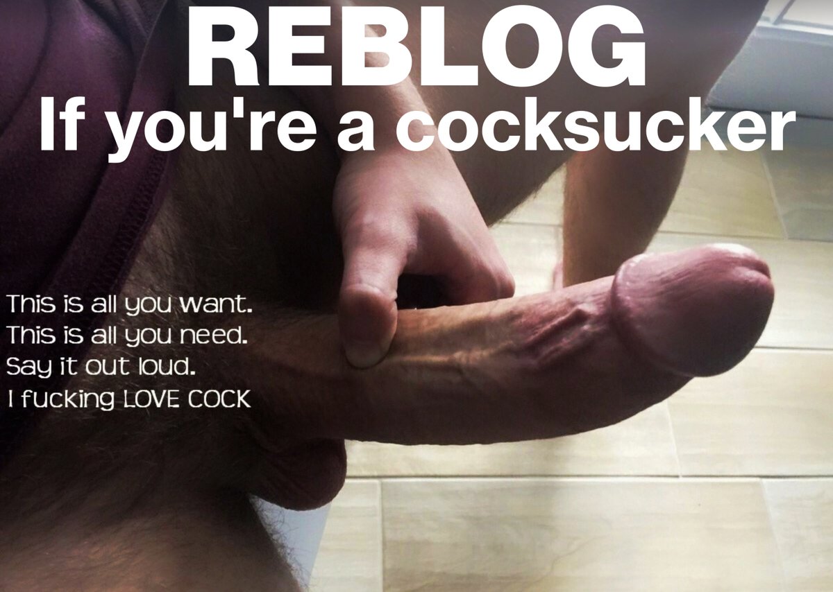 The Gay Guide🍆 tweet media