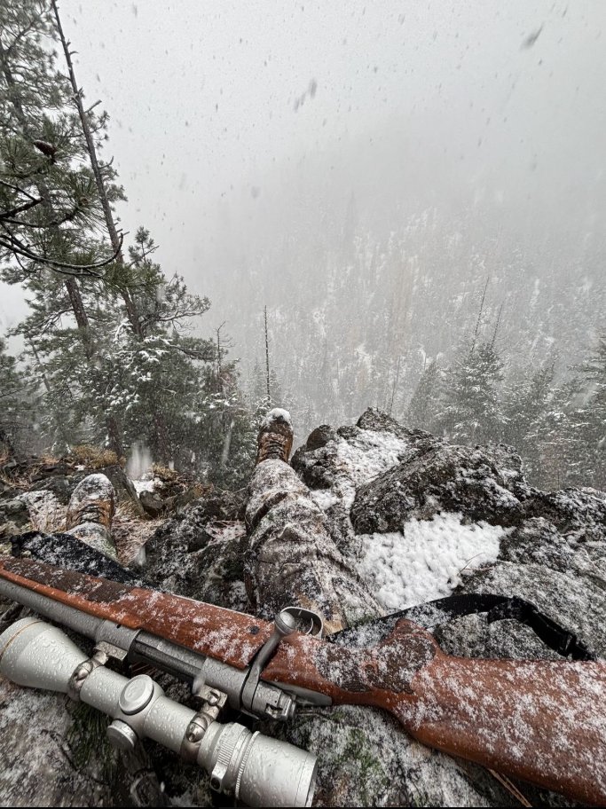 ruffian 💣 tweet media