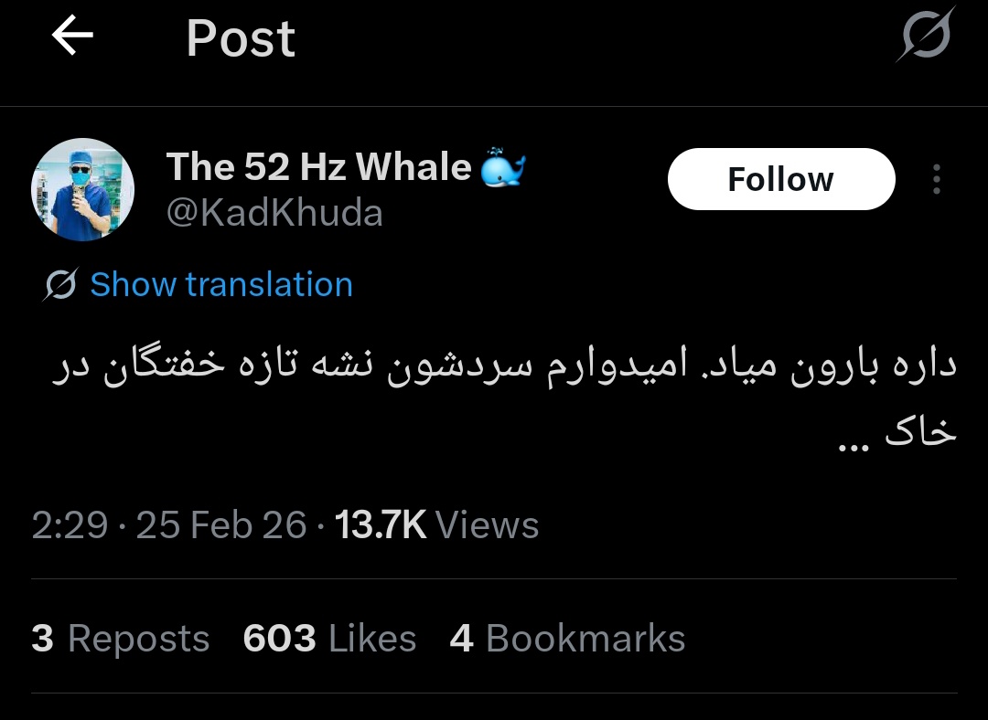 عمو شیر tweet media