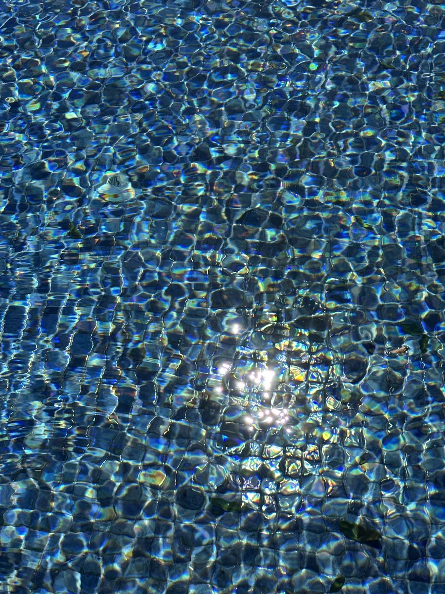 Hyakuya_ tweet media