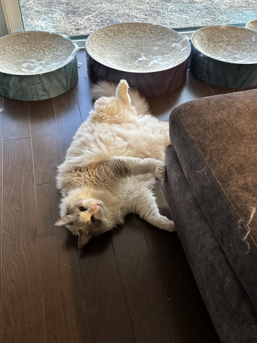 12歳最後の日🍚