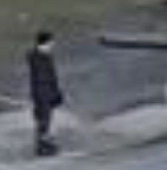 💥пан крокер💥 tweet media