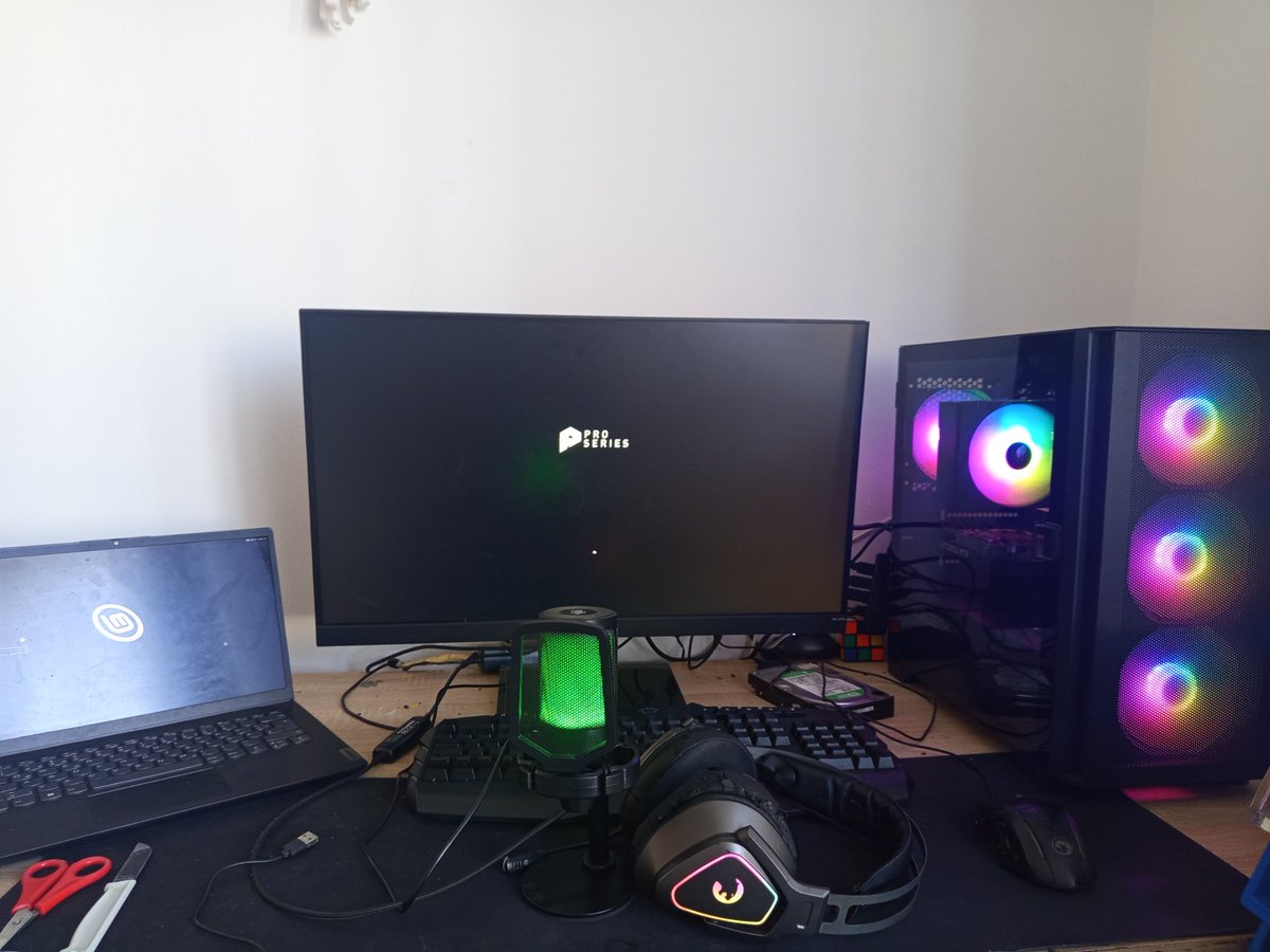 プリ (prickle) tweet media