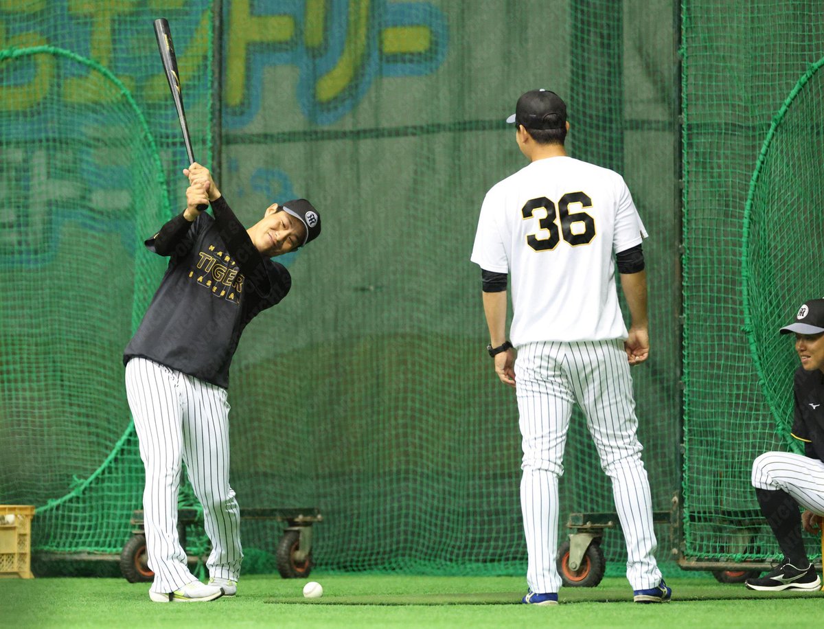 野球のバットがドライバーに見えてきた…😂 木浪選手のゴルフスイング