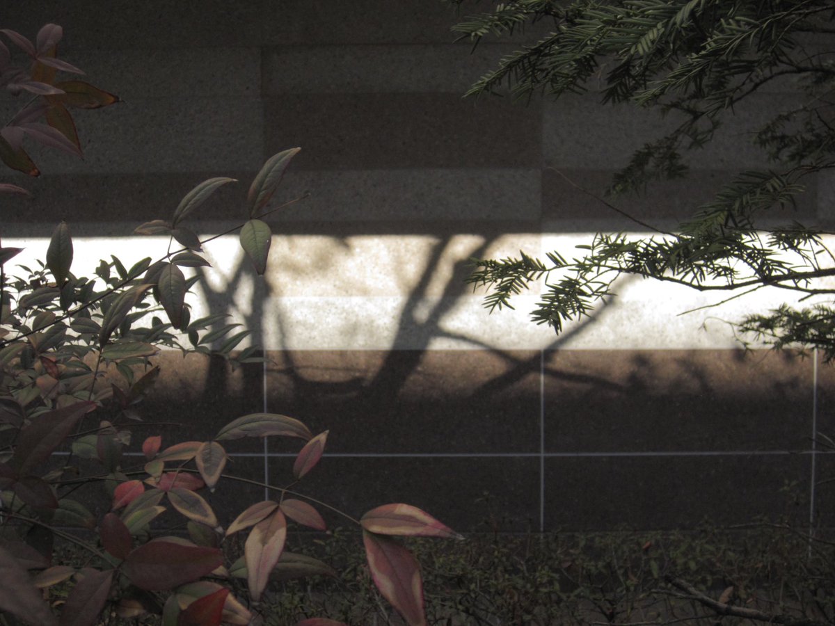 사월 (@april_dayyy) on Twitter photo 