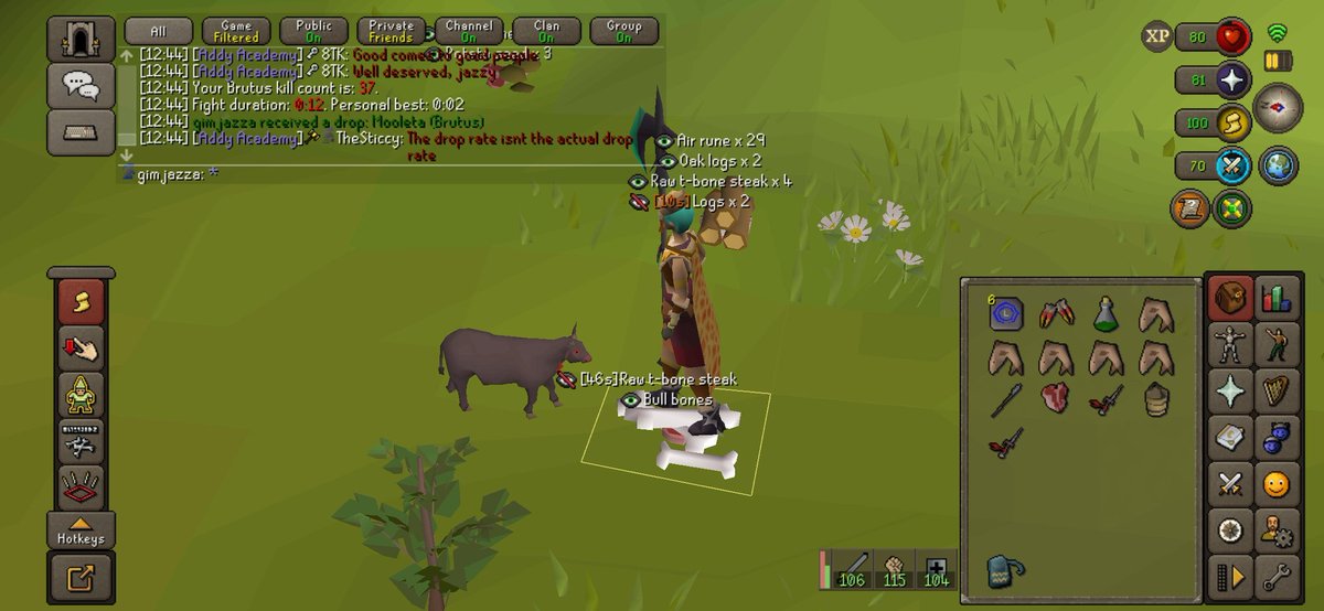AtvJazz's tweet photo. Thank you @Jagex kc 32! Loving the new pet
#osrs #brutus https://t.co/F0GfuHVso8