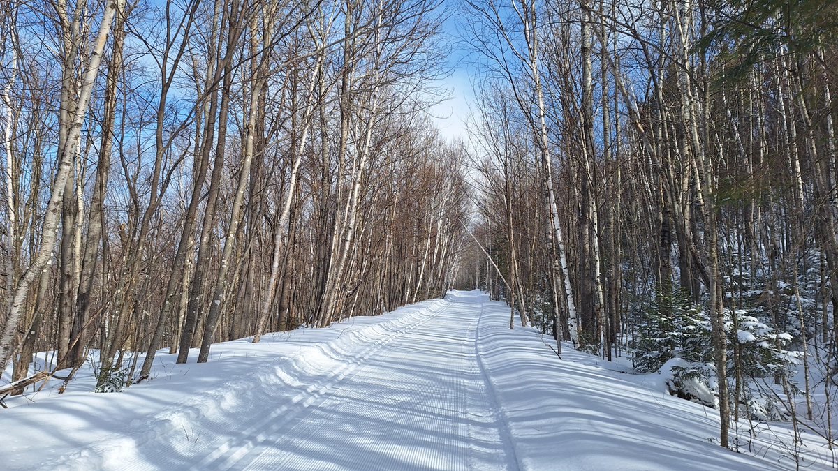 vagabondway's tweet image. Fresh powder. Fresh corduroy.  Blue bird skies. This is a lottery ticket for being in the Maine Woods! 

@AppMtnClub 
#maine #winter #workoutside #myoffice ##healthylifestyle #wow #beautiful