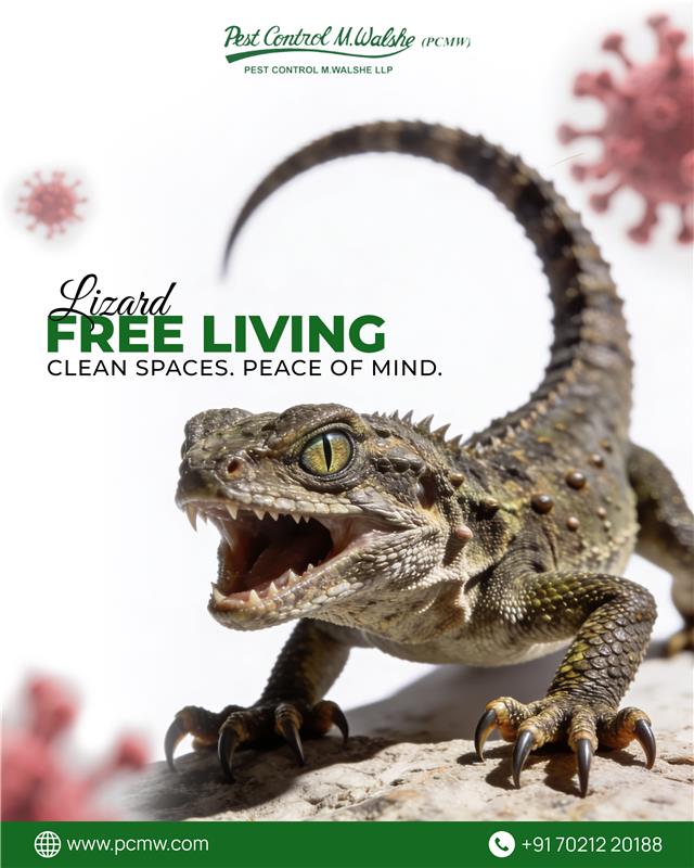 Pest Control M Walshe tweet media