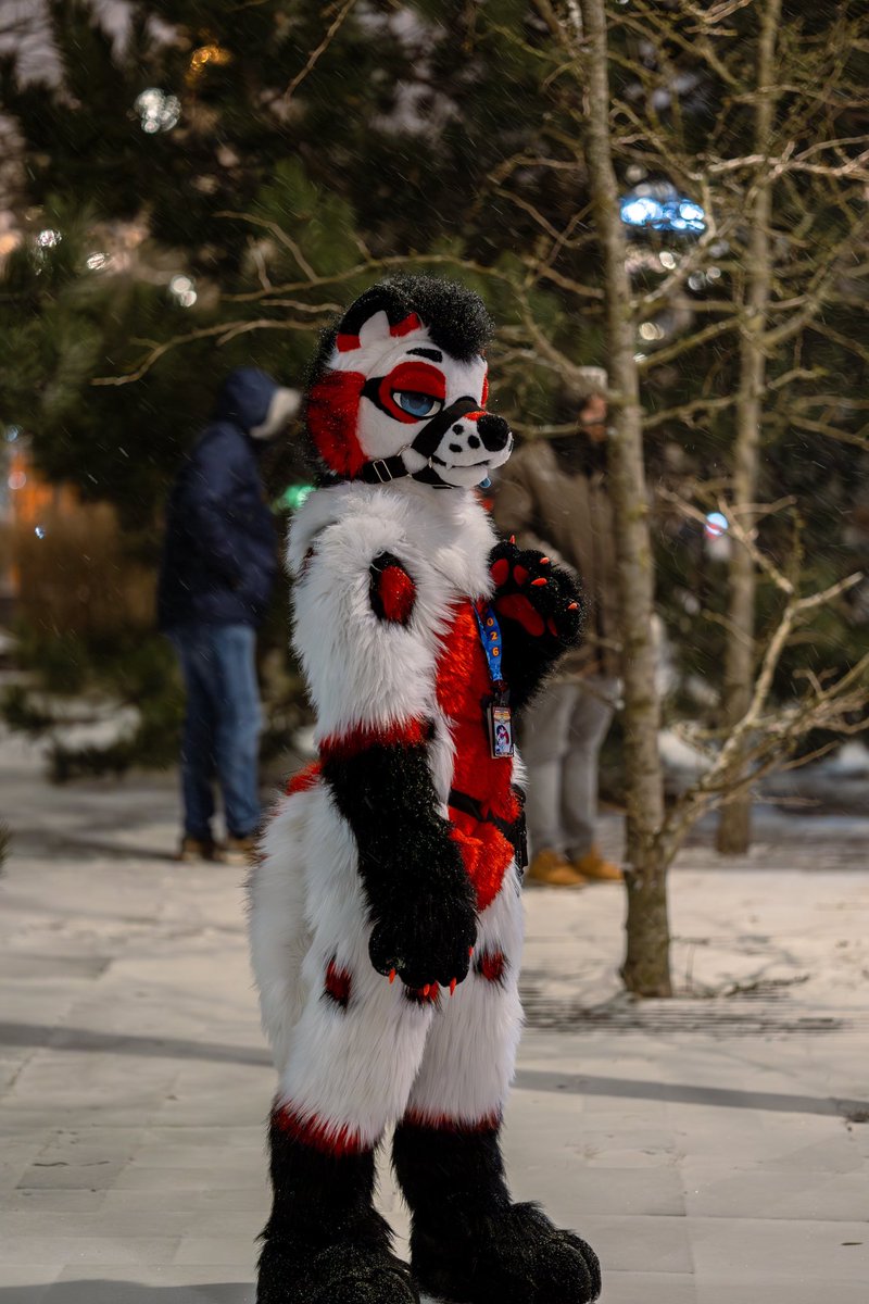 AkioYeen's tweet photo. Thank you @TayGoober for taking these beautiful photos for me during nfc❤️❤️🙏 https://t.co/IAoPge3PQr