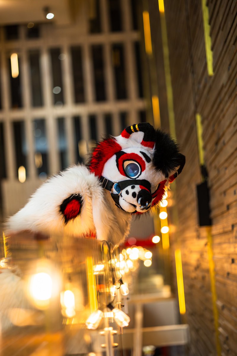 AkioYeen's tweet photo. Thank you @TayGoober for taking these beautiful photos for me during nfc❤️❤️🙏 https://t.co/IAoPge3PQr