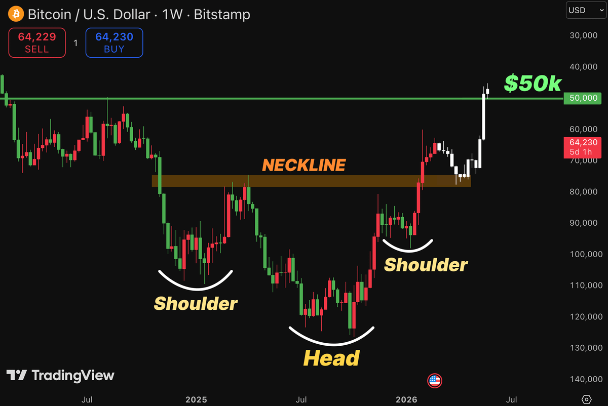 Aralez 🐕 tweet media