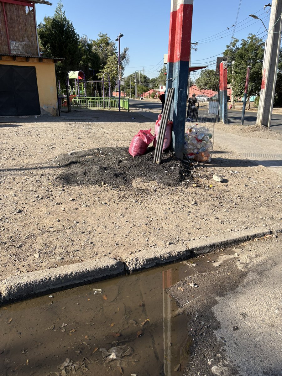 Marión Concha tweet media