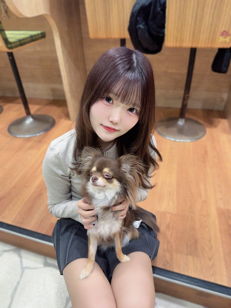 藤宮 さら (@sarachan_honpo) / Posts / X