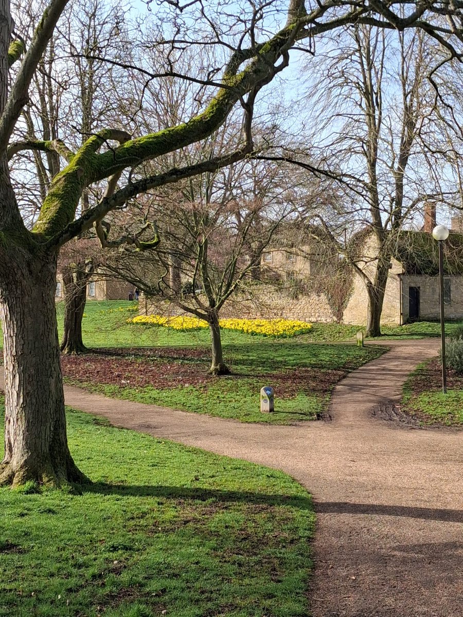 Elizabeth Coombe tweet media