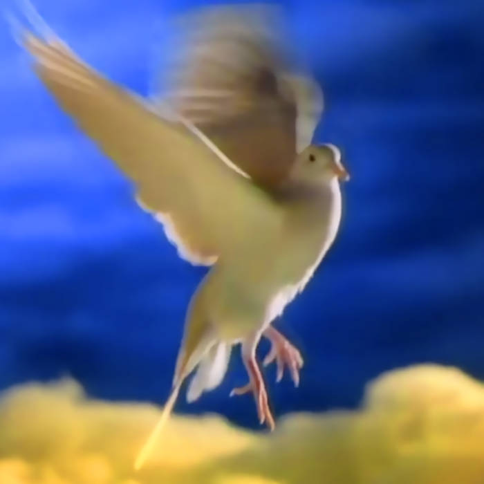 才ンガク毛ドキ 0ngαku Moԃkәү tweet media