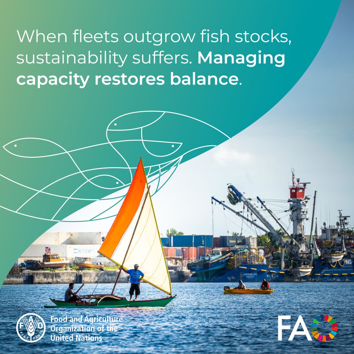 Fisheries & Aquaculture tweet media