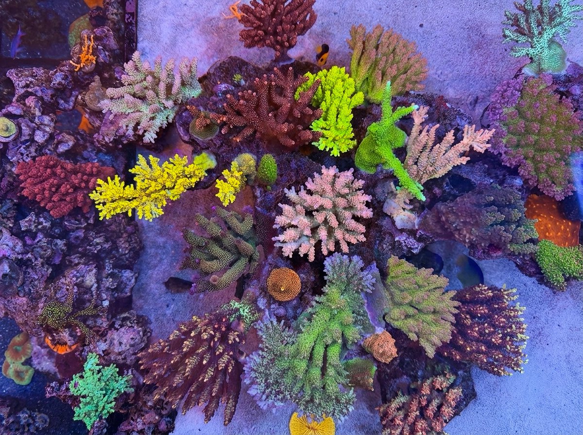 peninsula_reef's tweet photo. ライトの反射が消えた途端深さが増した気が🌊✨ https://t.co/Q4aHwPbM5n