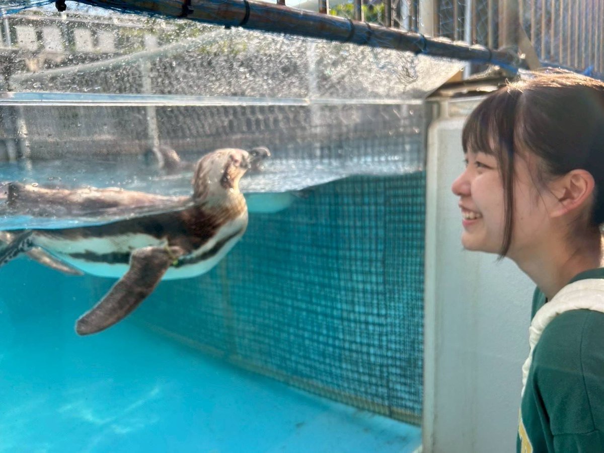 待宵 tweet media